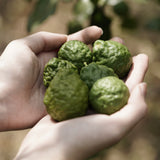 Kaffir Lime Essential Oil