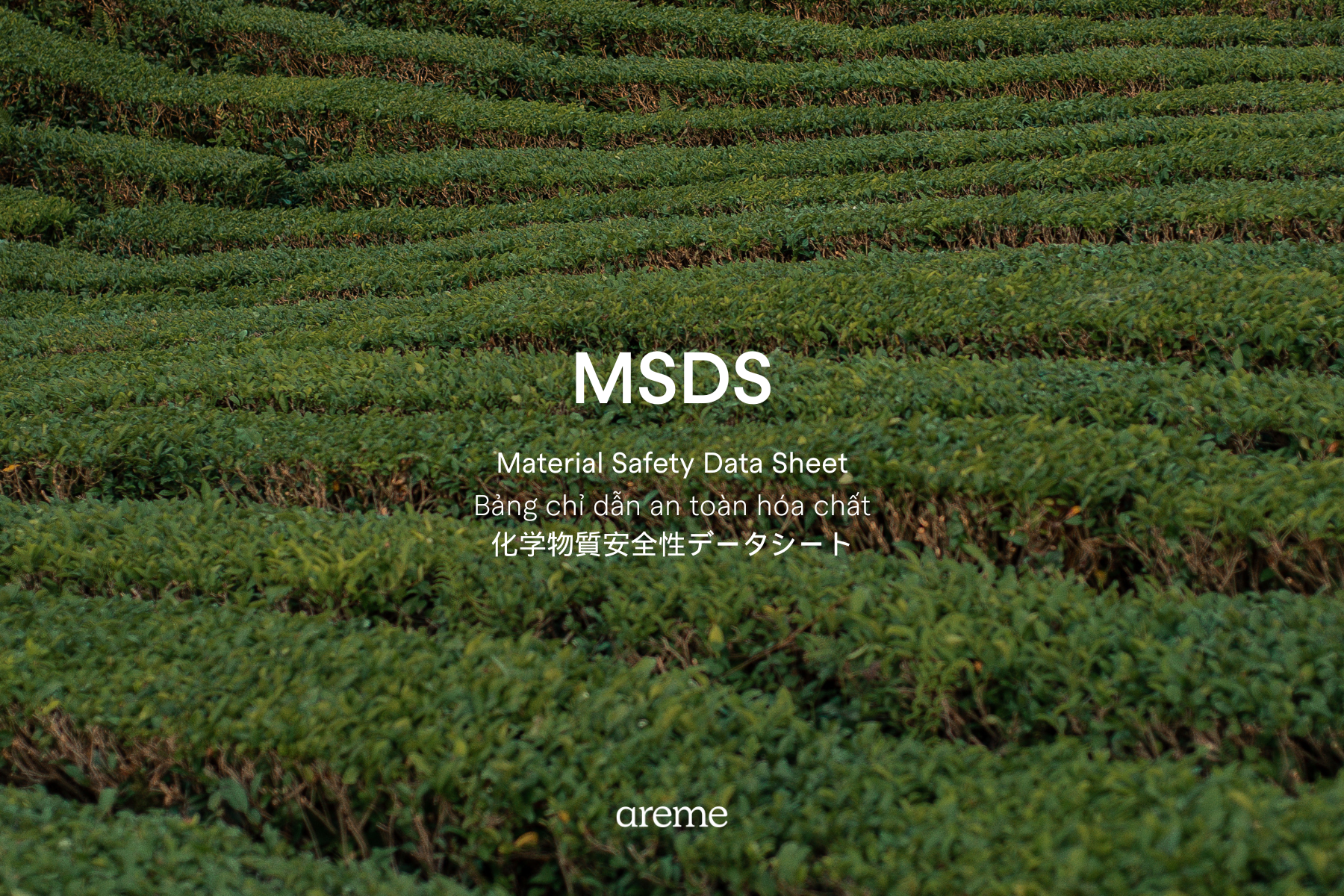Material Safety Data Sheet (MSDS) for Essential Oils: Understanding Safe Use