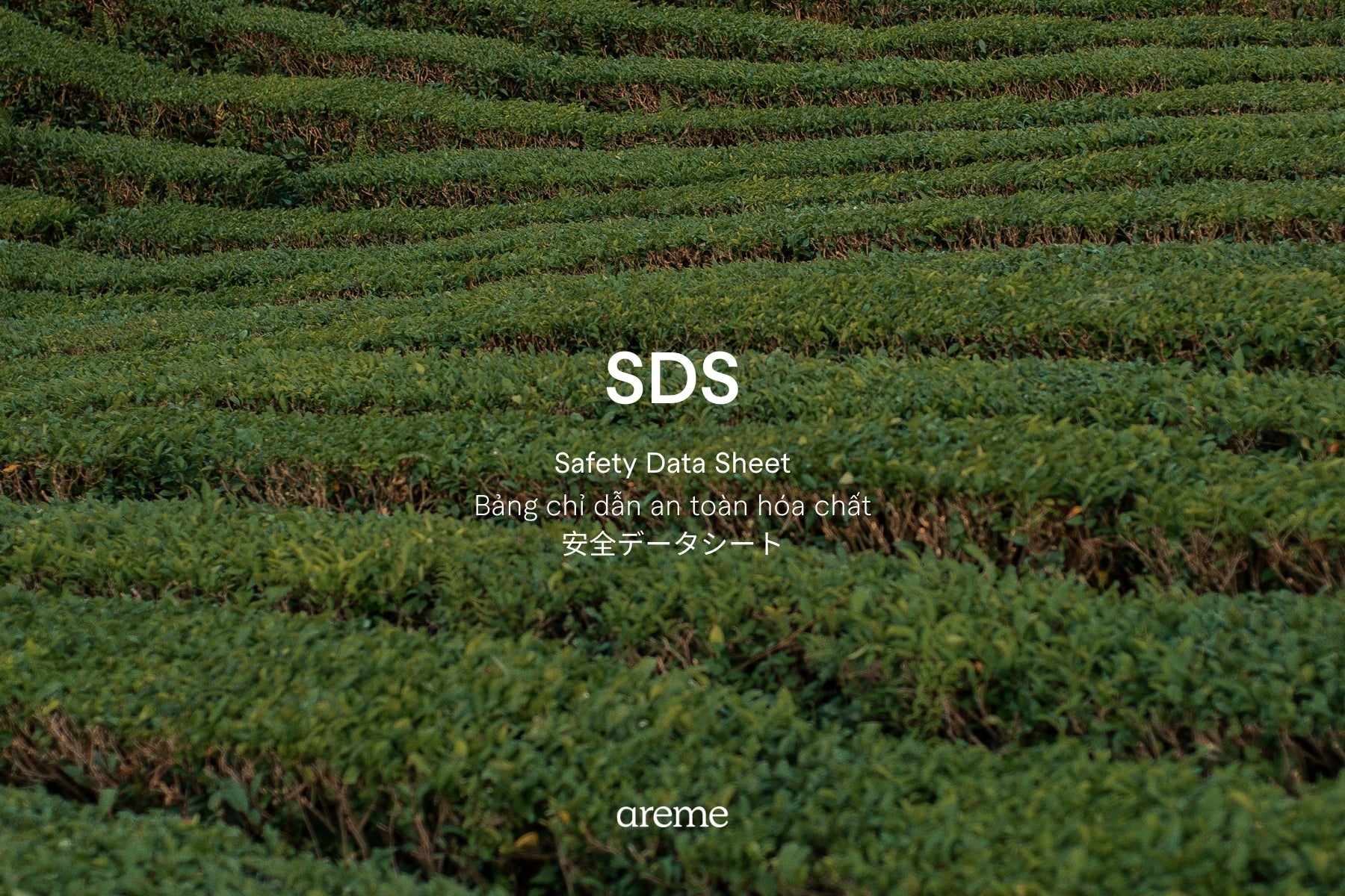 Safety Data Sheet (SDS) for Essential Oils: Understanding Safe Use