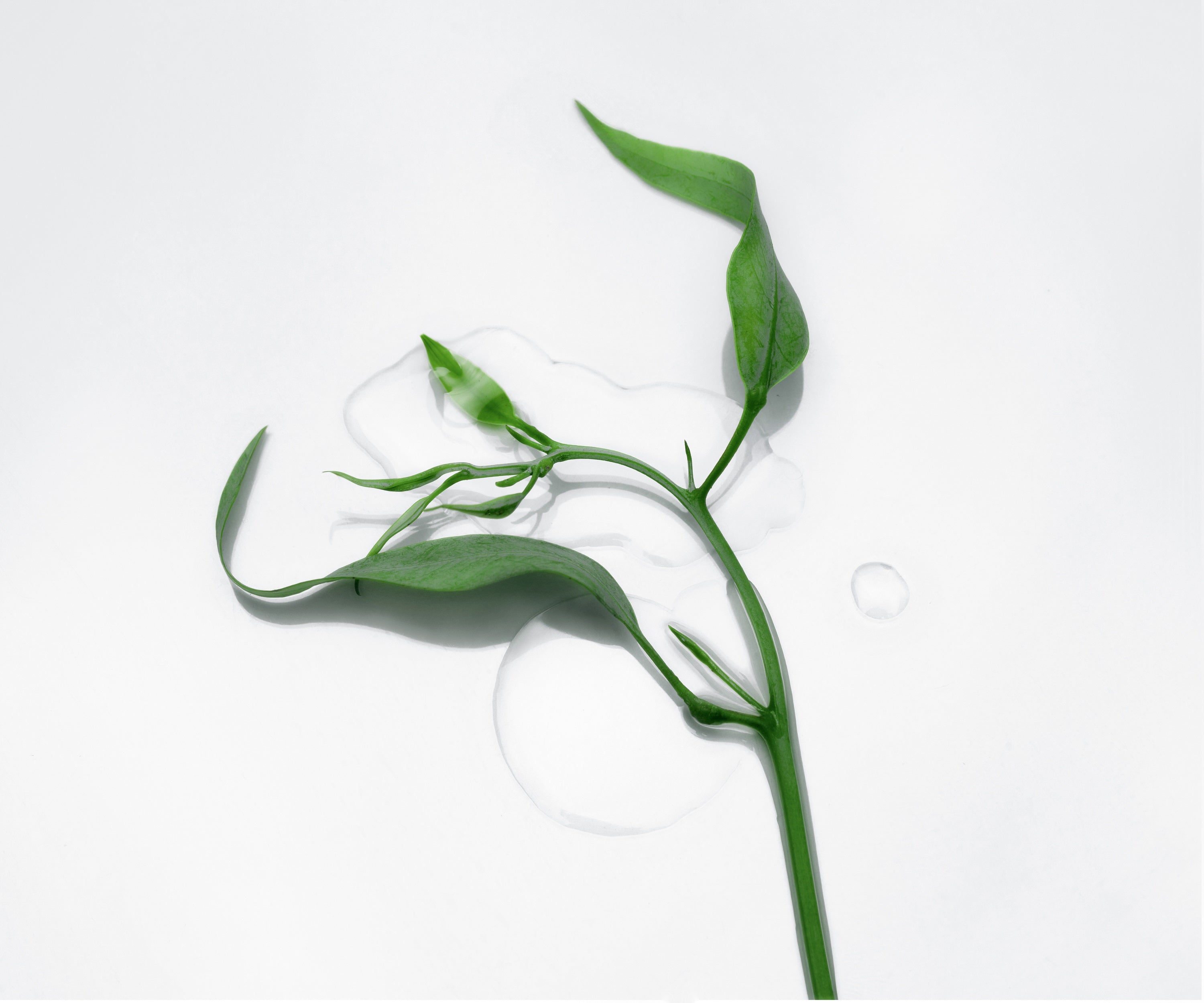 How essential oils are extracted: Methods explained