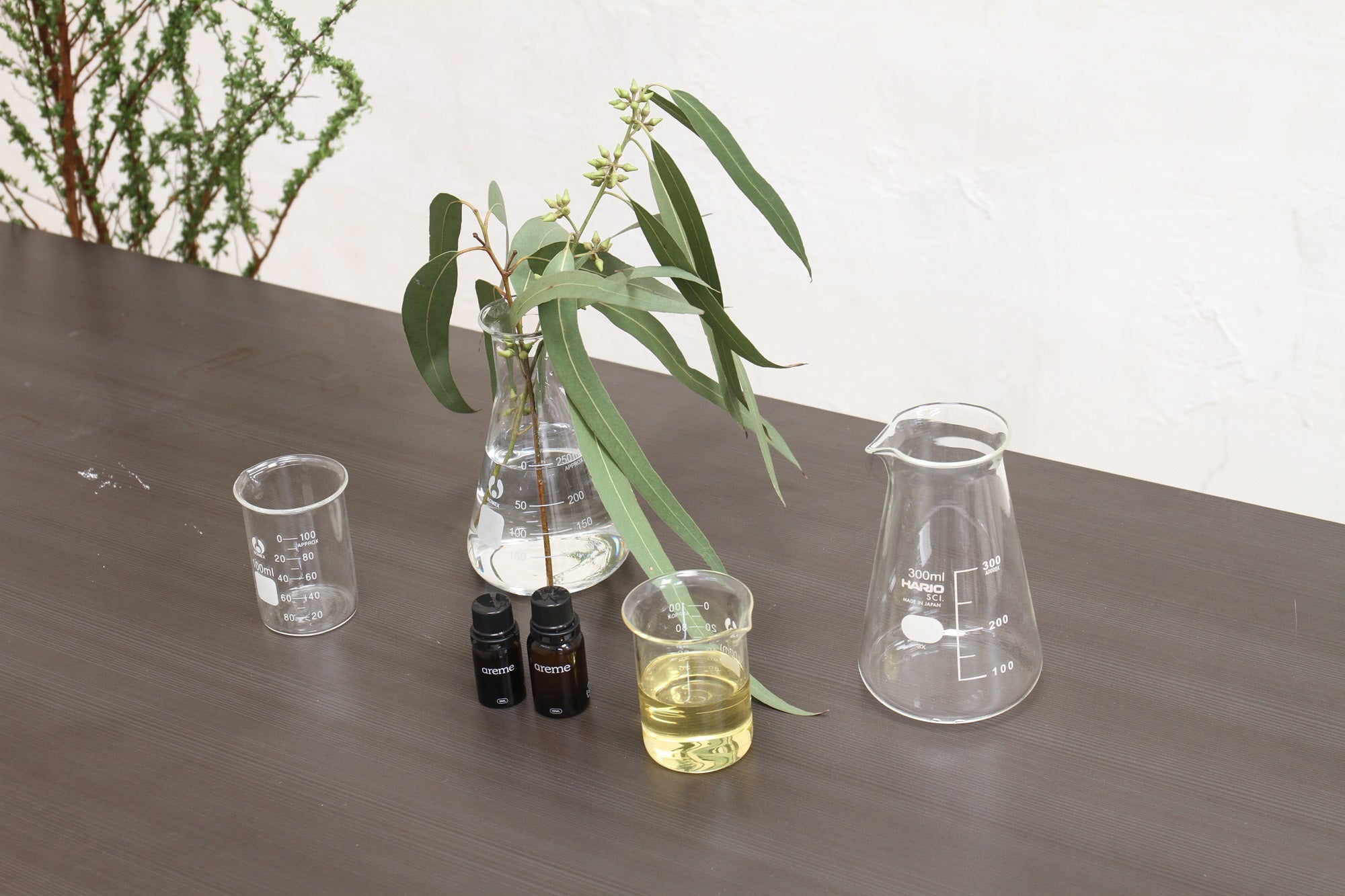 Essential Oils for Colds and Flu