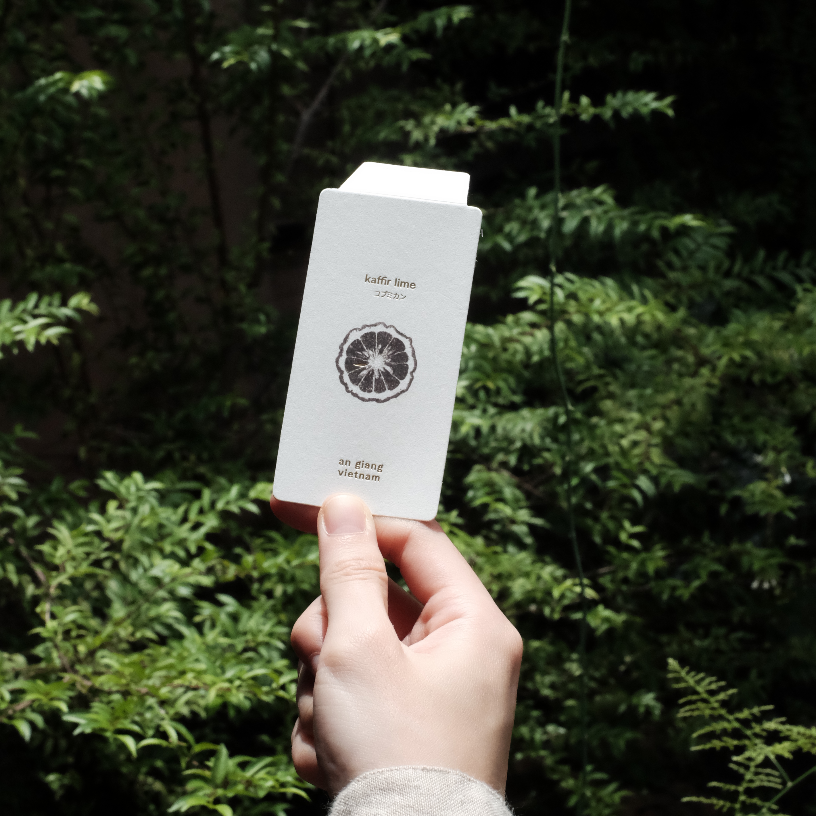 The story of areme scent card