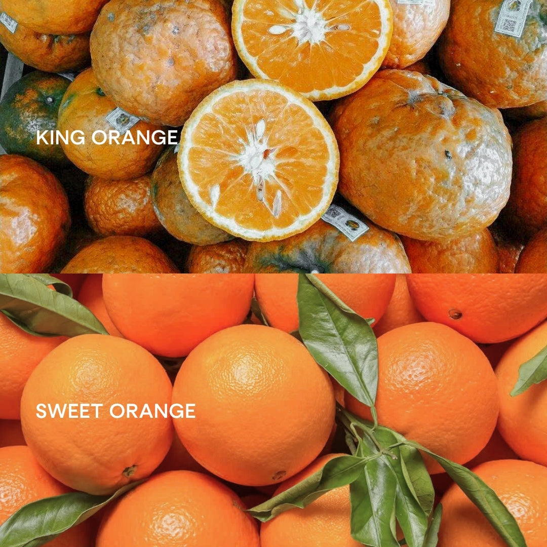 King orange vs. Sweet orange essential oil: What's the difference