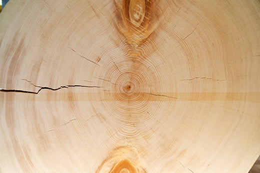 Scent Story: Yoshino Hinoki