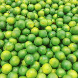 Calamansi Essential Oil